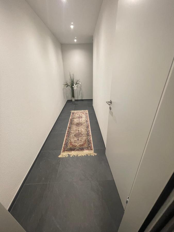 V.I.P Appartement Böttstein エクステリア 写真