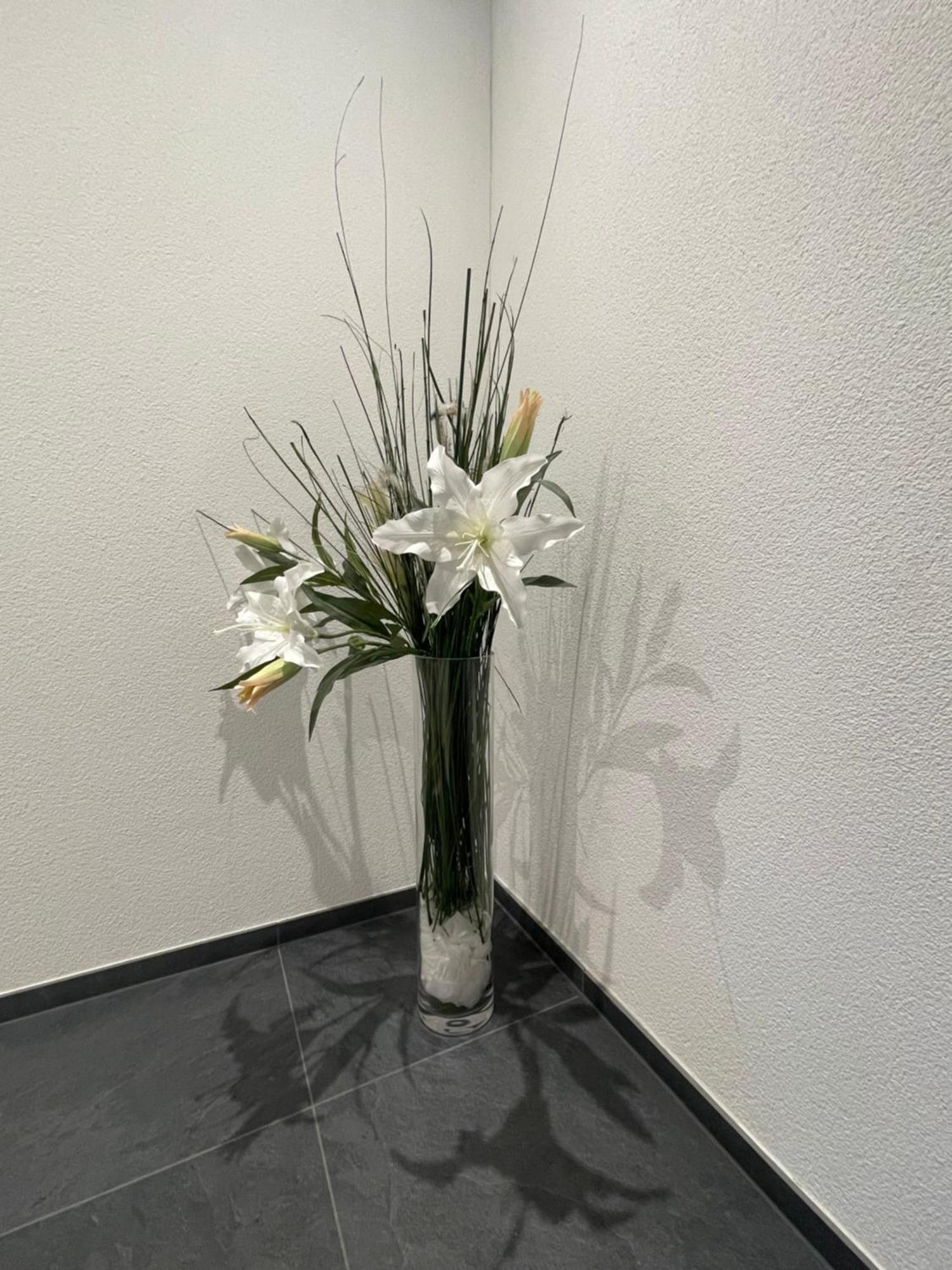 V.I.P Appartement Böttstein エクステリア 写真